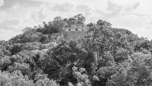 Así es en la actualidad la zona donde se construirá la Estación Calakmul