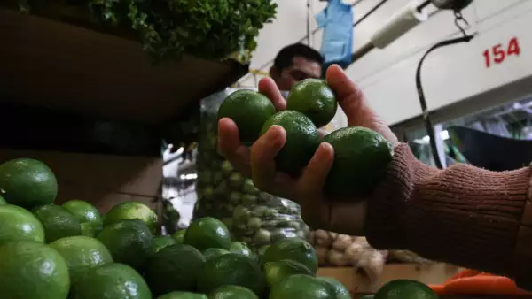 El precio del limón fue de los que más aumentó en abril de 2016.