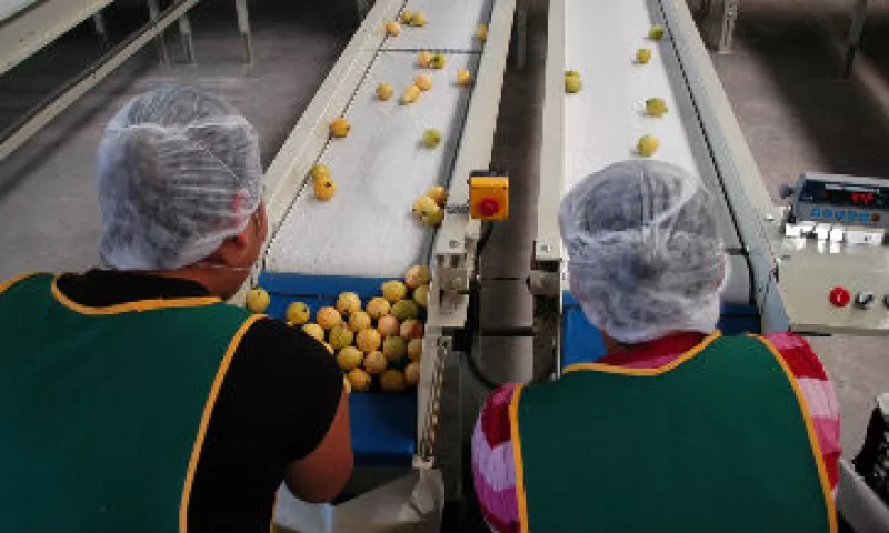 empacadora alimentos