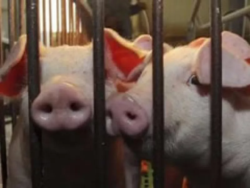 Empresarios quieren acelerar negocios y exportar (Foto: Archivo)