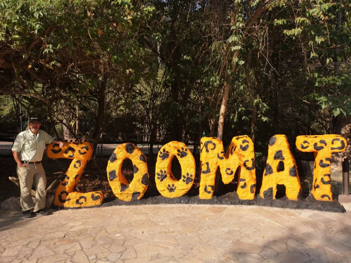 Rehabilitación del ZooMat, (fuente:@Incubadorasyavesbaumgart).