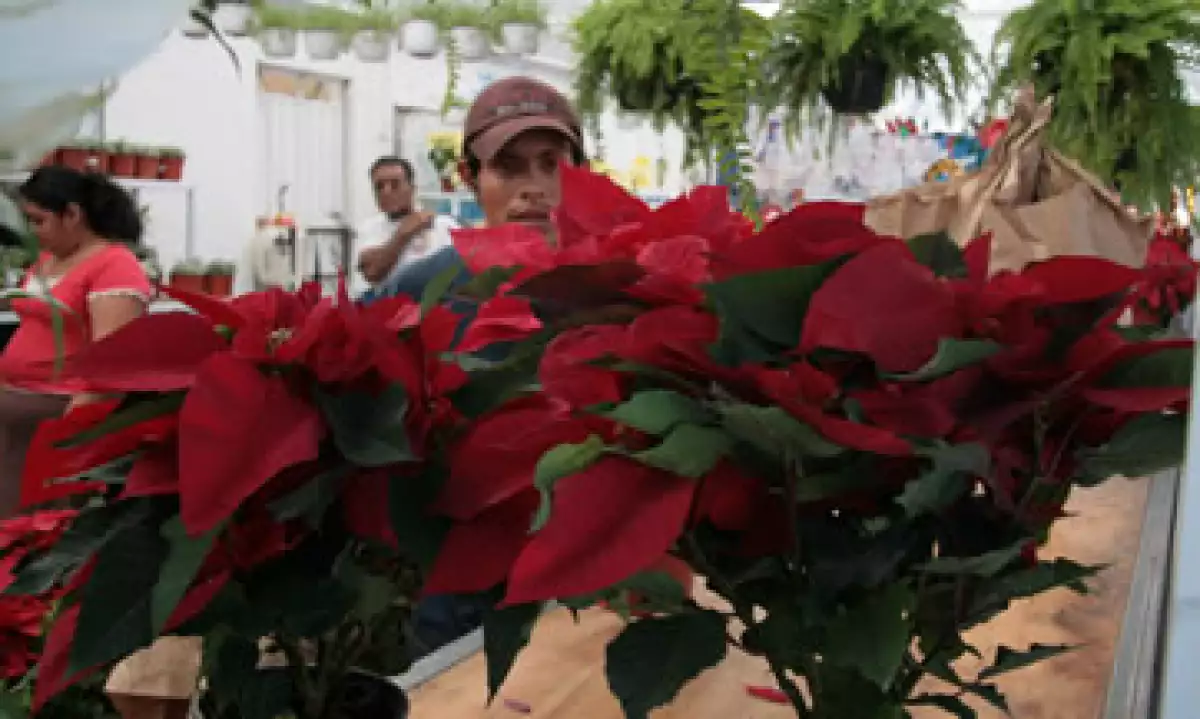  (Foto: Cuartoscuro )