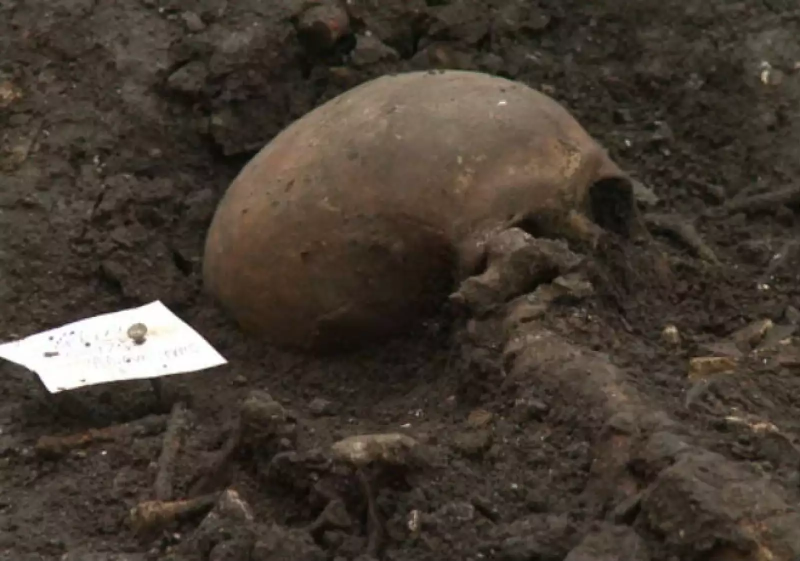 Esqueletos Londres 3