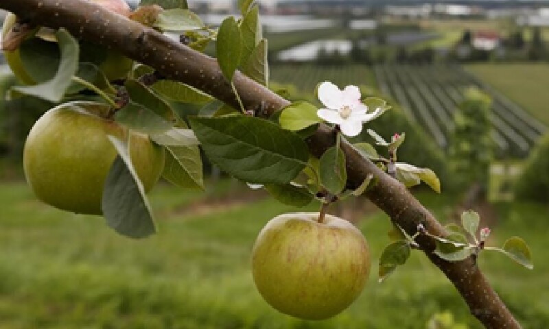 manzanas eu