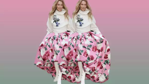 celine-dion-falda-look