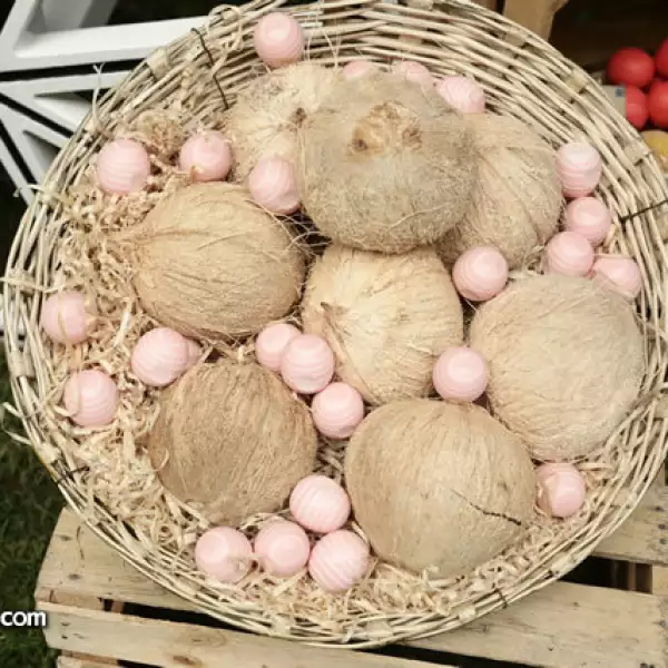 Los lipsticks son muy suaves e hidratan los labios