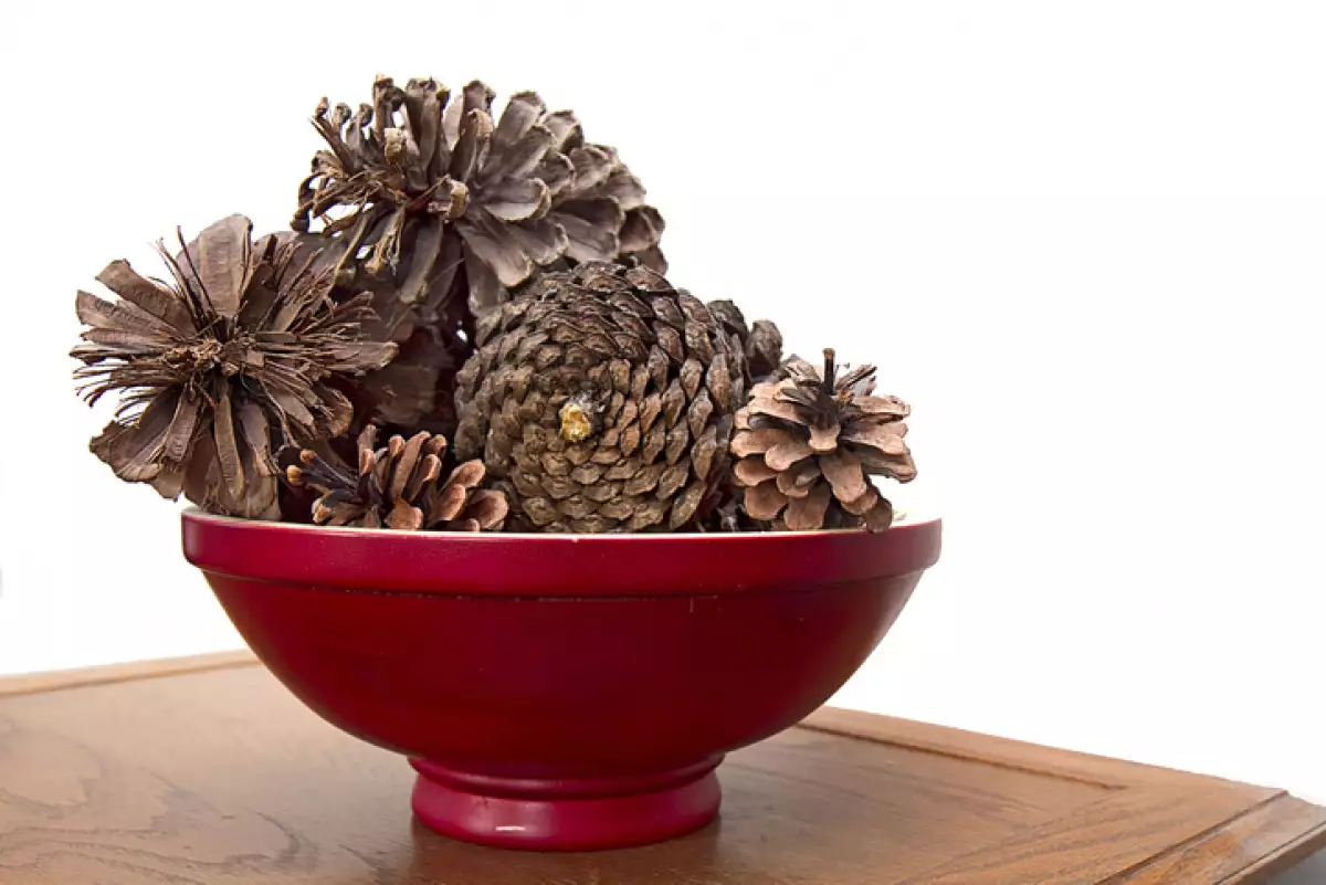 Red Wooden Bowl filled with Pinecones