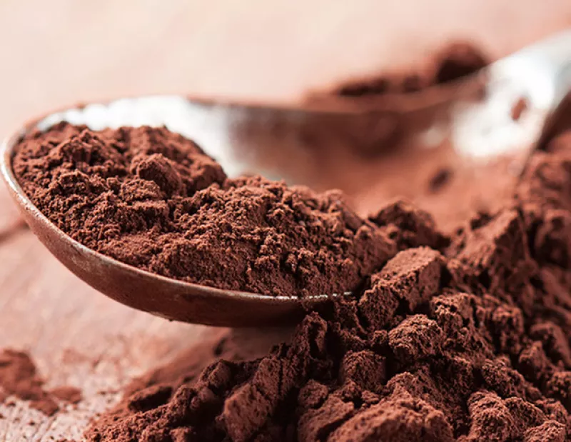 ¿Tomarías leche de chocolate caliente si te dijéramos que es el nuevo fitness drink? Sigue leyendo pues encontrarás que es más que una deliciosa bebida para el frío.