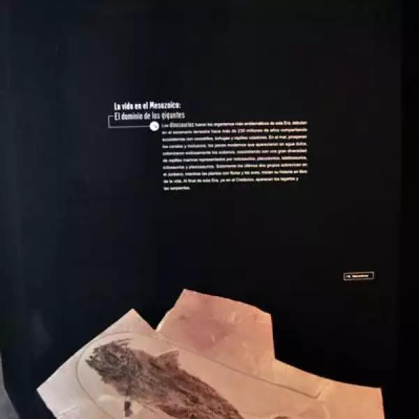 Inauguraci?el Museo El Centenario