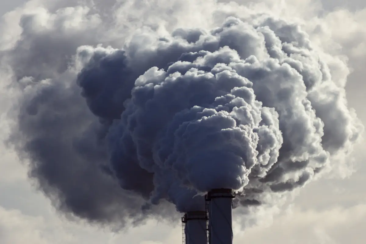 Contaminación