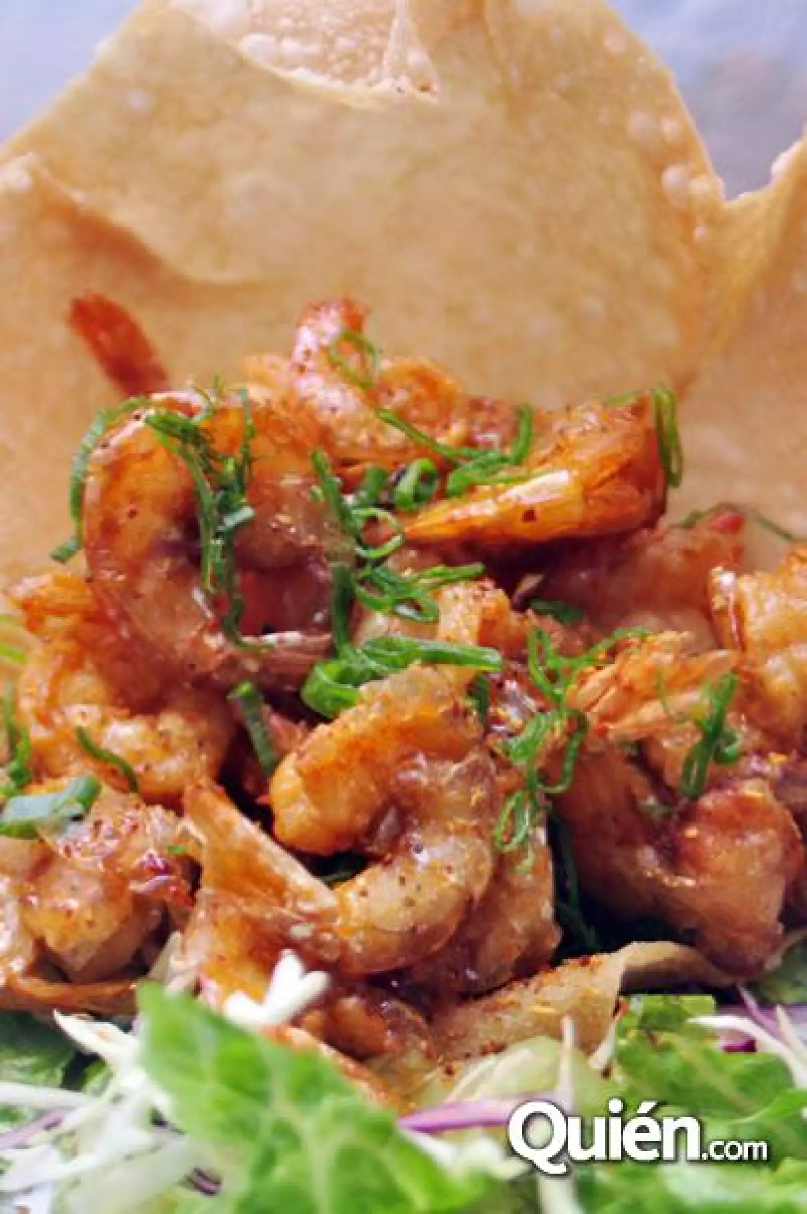 Inauguración de La Cigala Azul