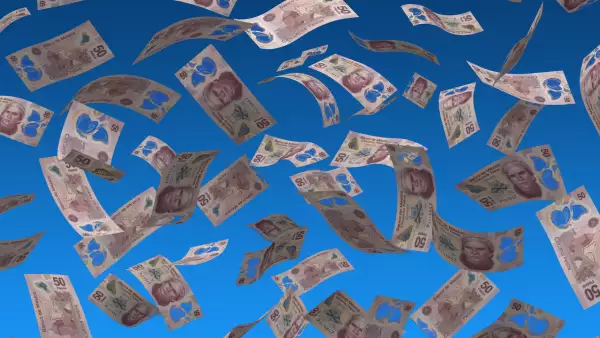 Flying Mexican Pesos