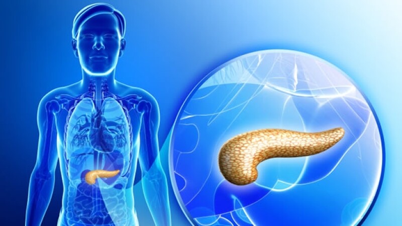 pancreas