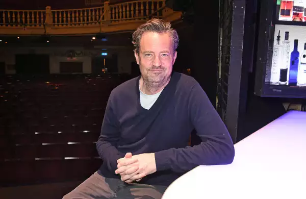 Matthew Perry's "The End Of Longing" - Photocall