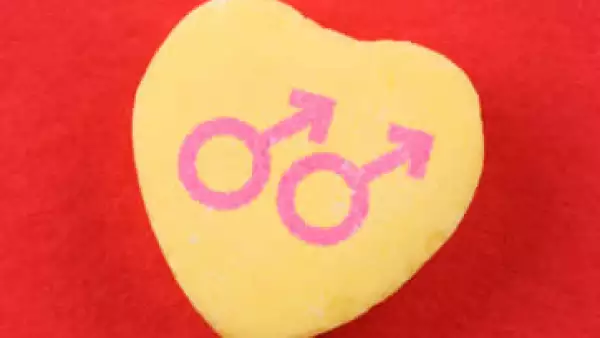 Fernando Carbajal destacó que el segmento gay es un mercado con características particulares que requiere atención. (Foto: Thinkstock)