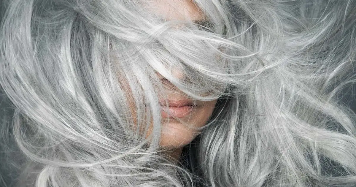 Garnier:canas.jpg