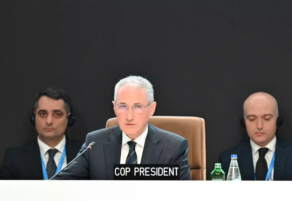 cop29 y medio ambiente