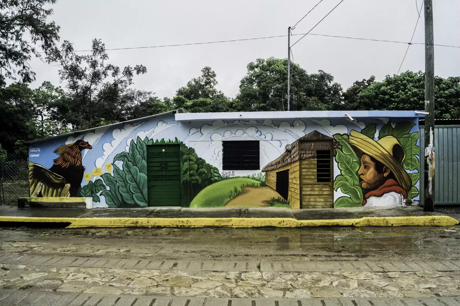 Más de una hectárea