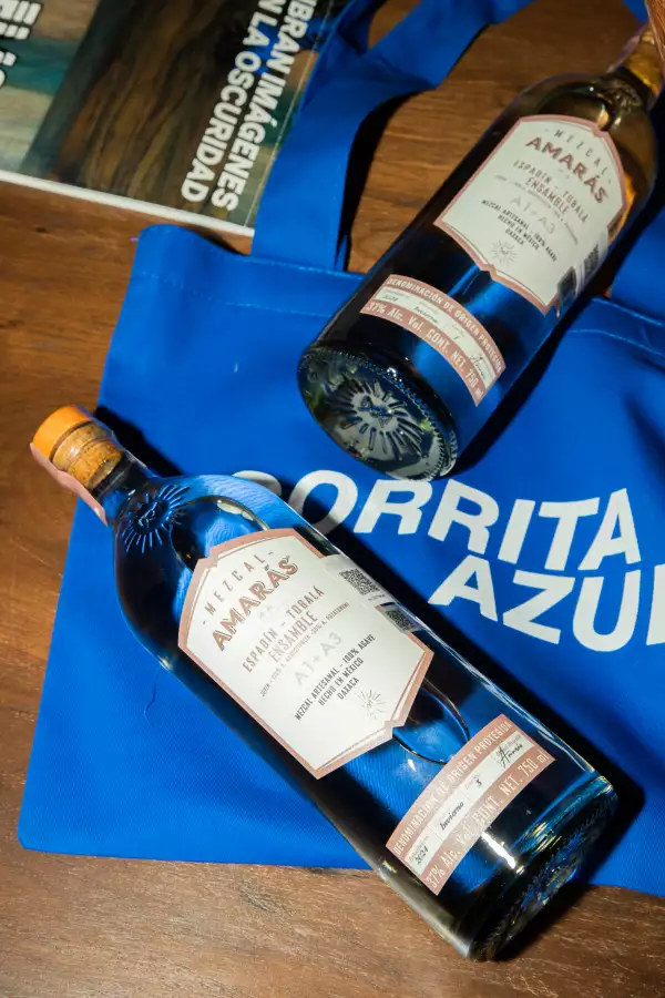 Los Premios Gorrita Azul anuncian a sus nominados para su próxima edición