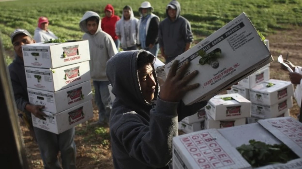 Inmigracion-EU-Getty