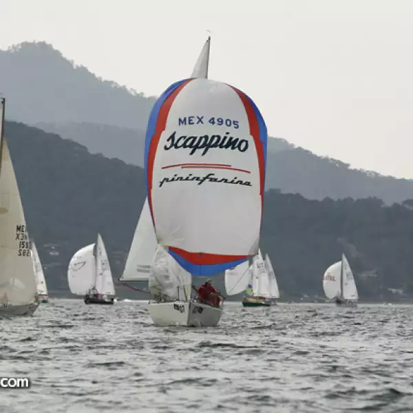 Regata Scappino