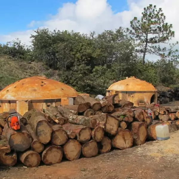 Oaxaca artesanas seda 18