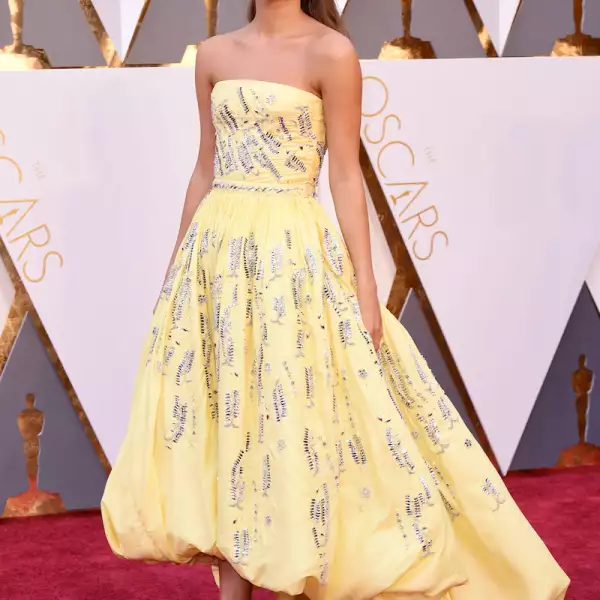 88th Annual Academy Awards, Arrivals, Los Angeles, America - 28 Feb 2016 