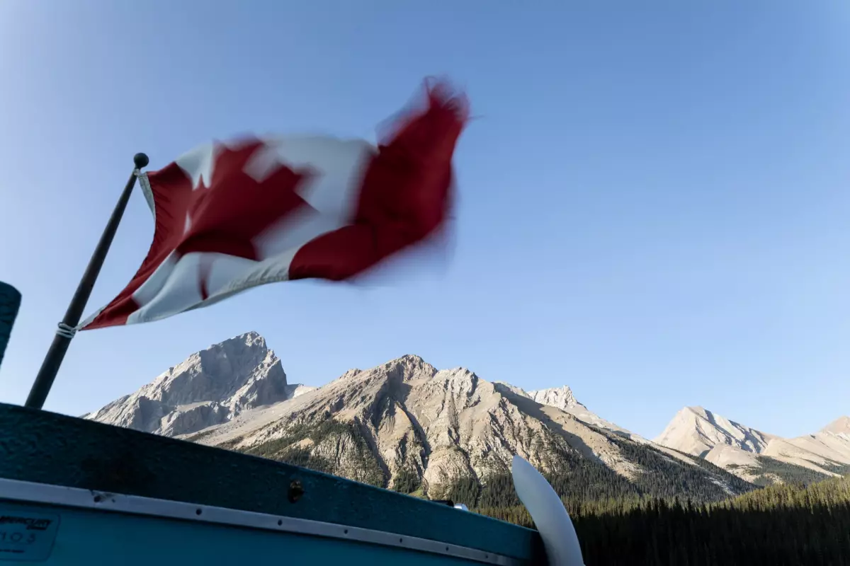 Foto de los bosques de Jasper, en Alberta, Canadá.