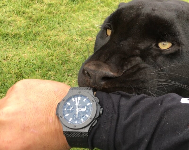Hublot