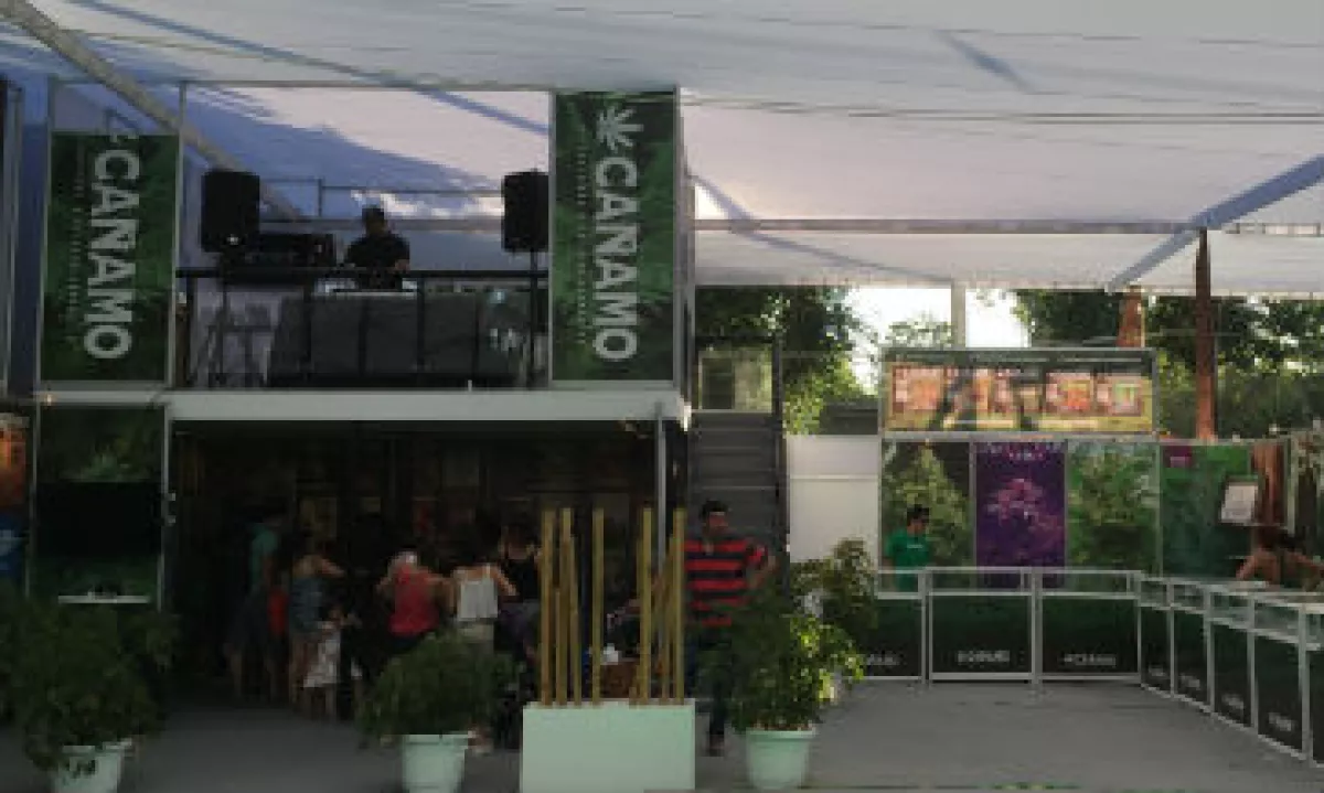 Expo-Weed