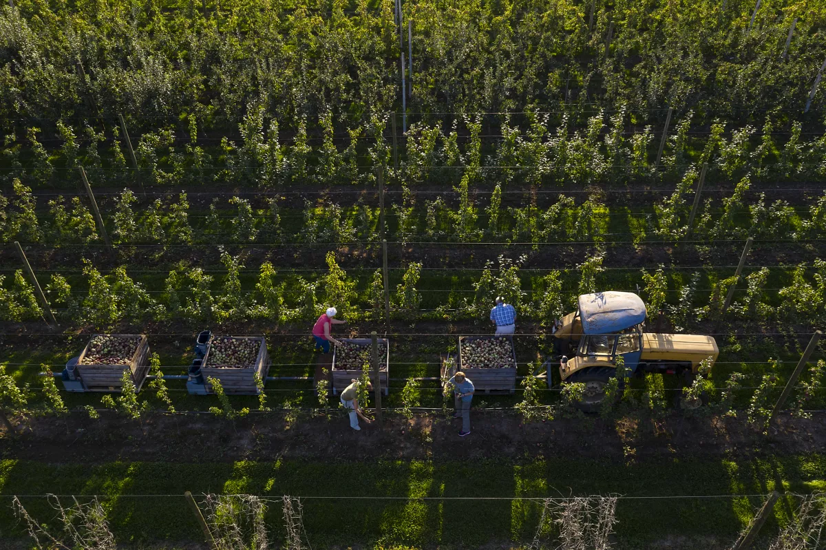 agro campo economía méxico