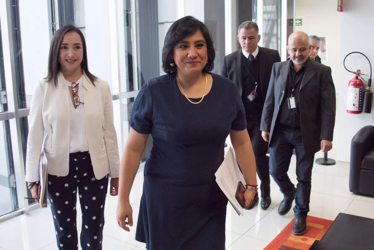 Irma Eréndira Sandoval