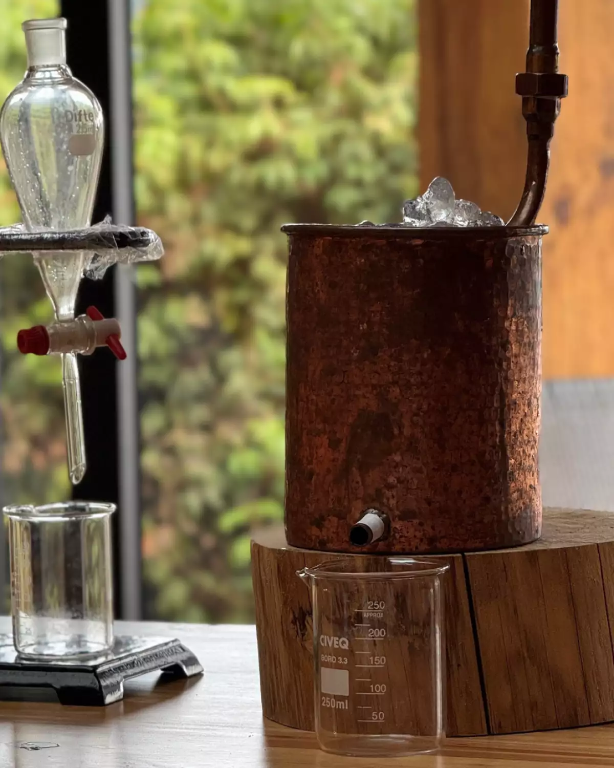 Destilamos un aceite esencial de hinojo