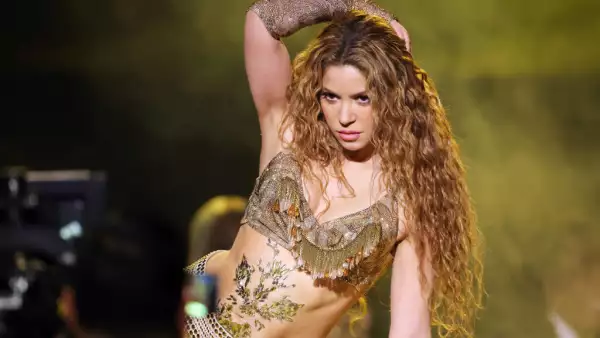 67th Annual GRAMMY Awards - Show