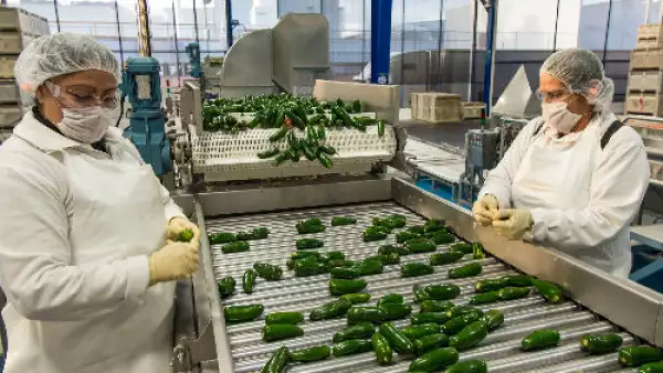 planta de Grupo Herdez