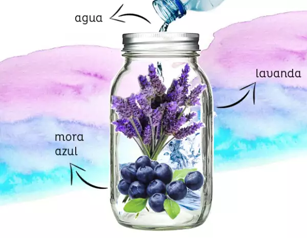 Infusión de moras y lavanda.
