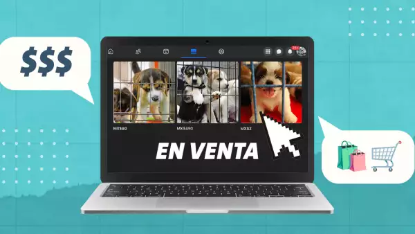 CDMX prohíbe la venta de mascotas en lugares públicos, pero abre un nuevo mercado: las redes sociale