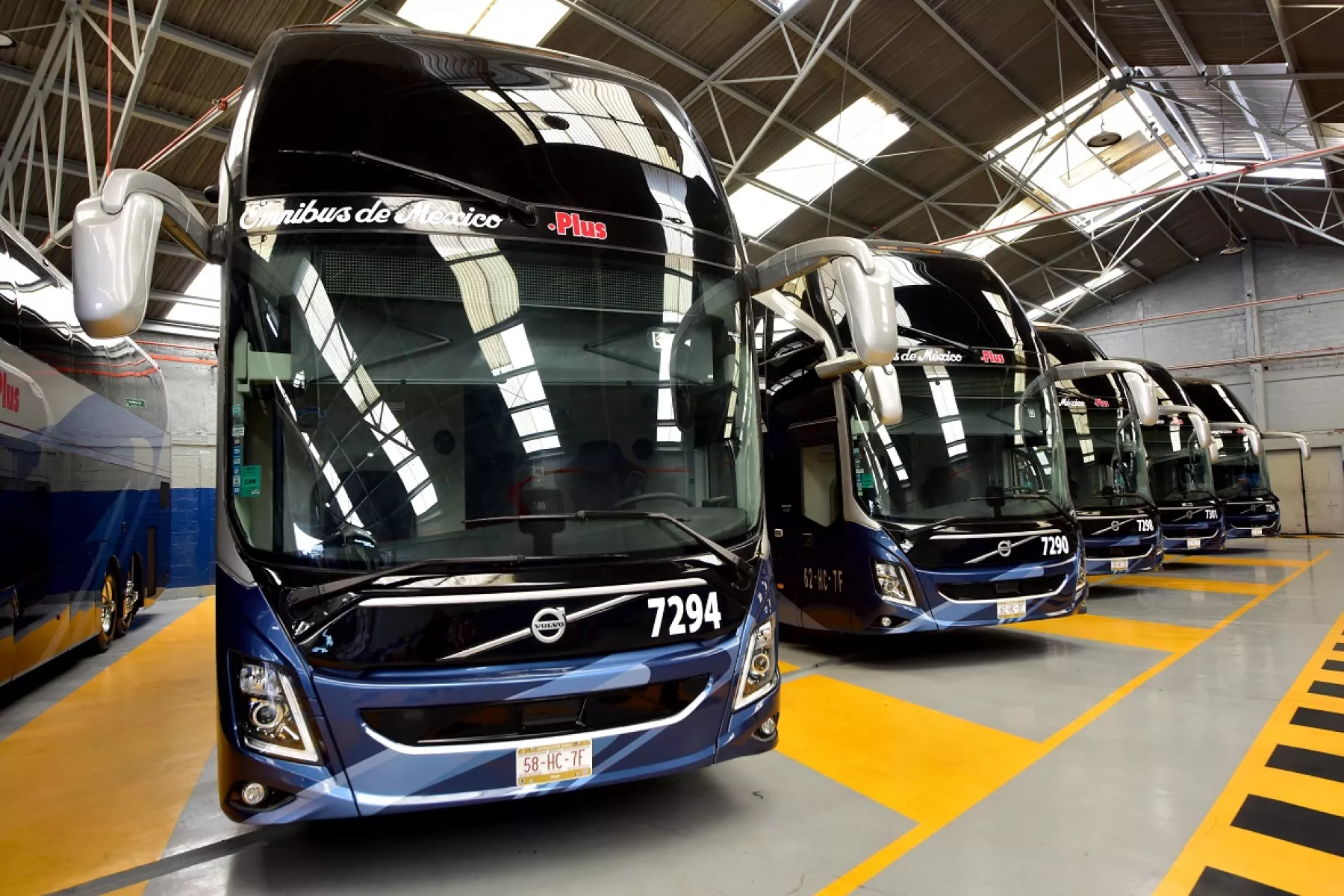 Autotransporte “palomea” trenes para pasajeros y observa oportunidad de negocio