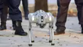 Los perros robots que parecían mascotas ya trabajan en minas y fábricas: el mercado de 124,800 mdd 