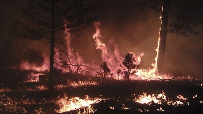 incendio_nuevomexico