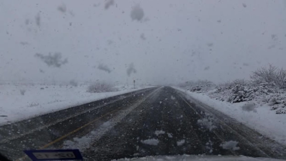 Las carreteras de Chihuahua se han visto afectadas por las nevadas severas en los últimos días