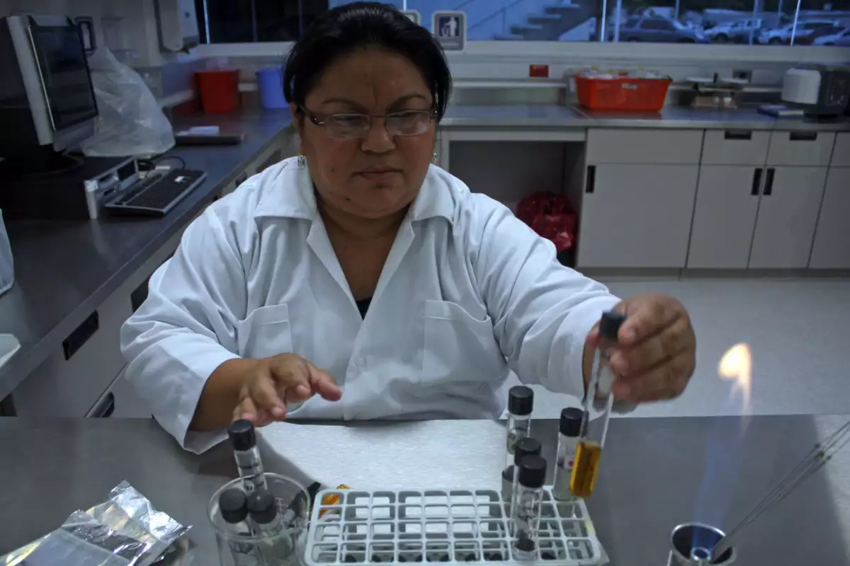 cinvestav fideicomisos 