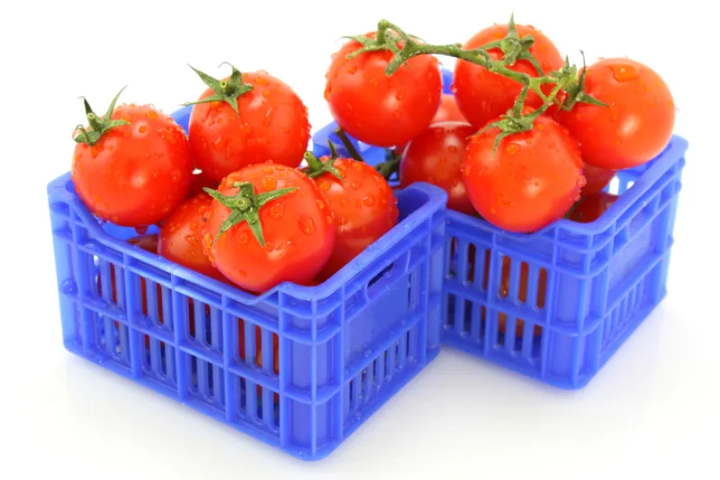 Cajas de jitomate