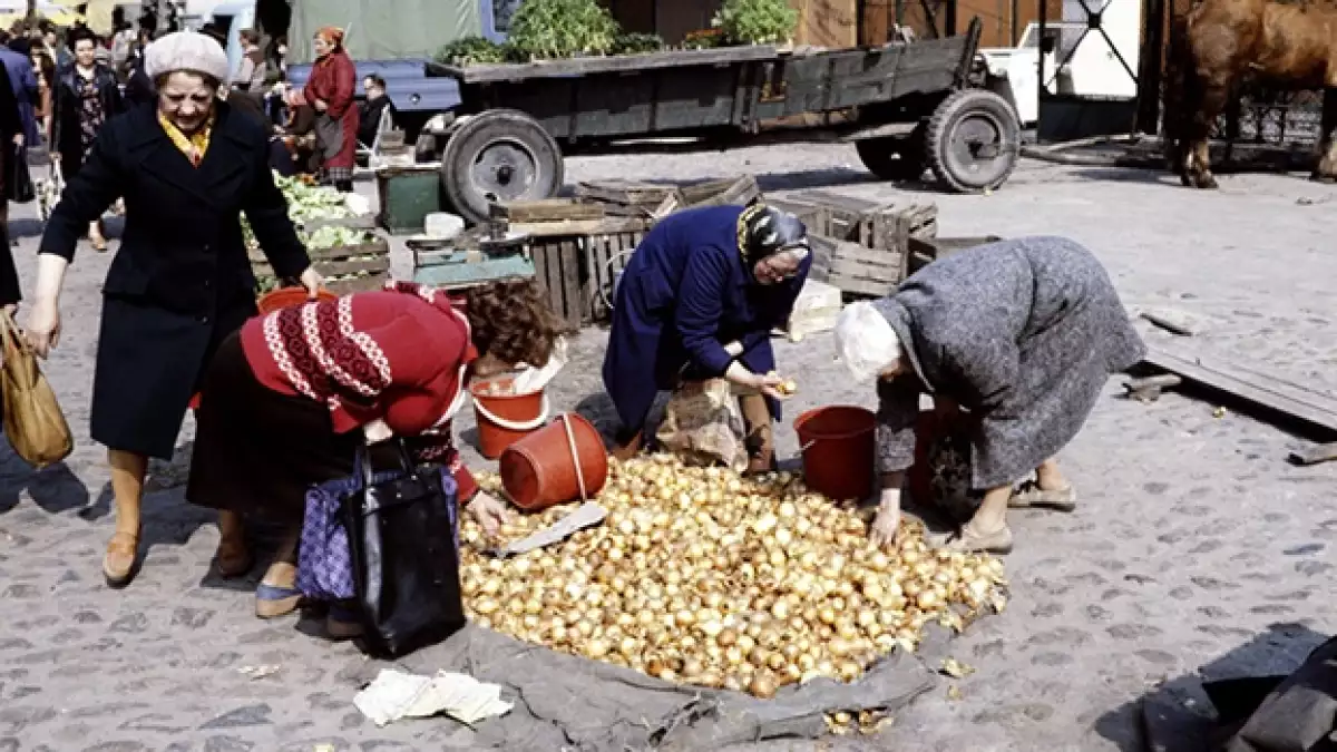 trabajo, migracion, polonia