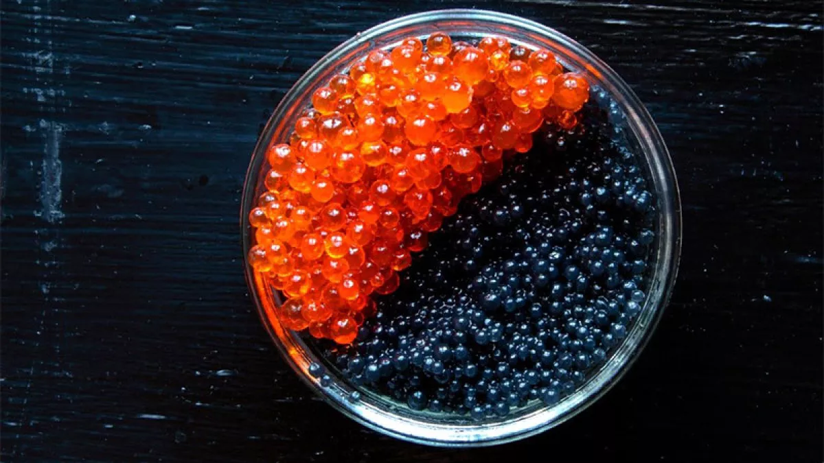 Caviar