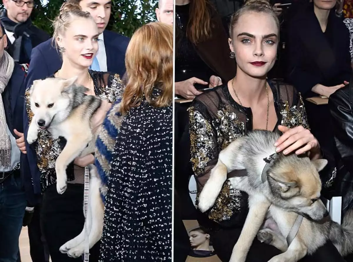 Al parecer, Leo ha venido a sanar la herida que dejó la muerte de Mouse, el anterior perrito de la modelo.