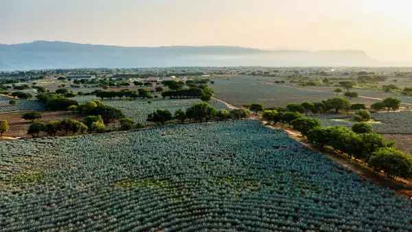 Noche UFC La Rojena Media Event