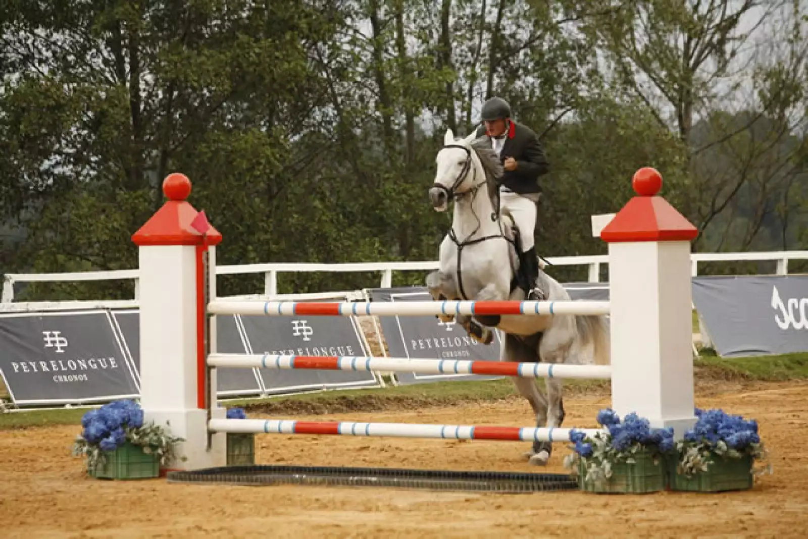 Peyrelonge poresentado por Scappino