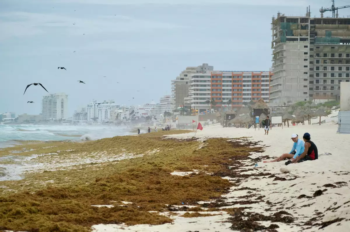 Sargassum seaweed season in Cancun