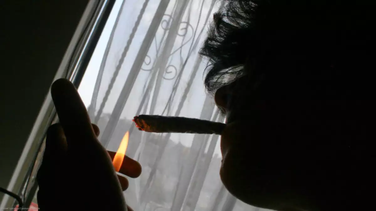 Consumidores de marihuana demandan la legalización de esta droga